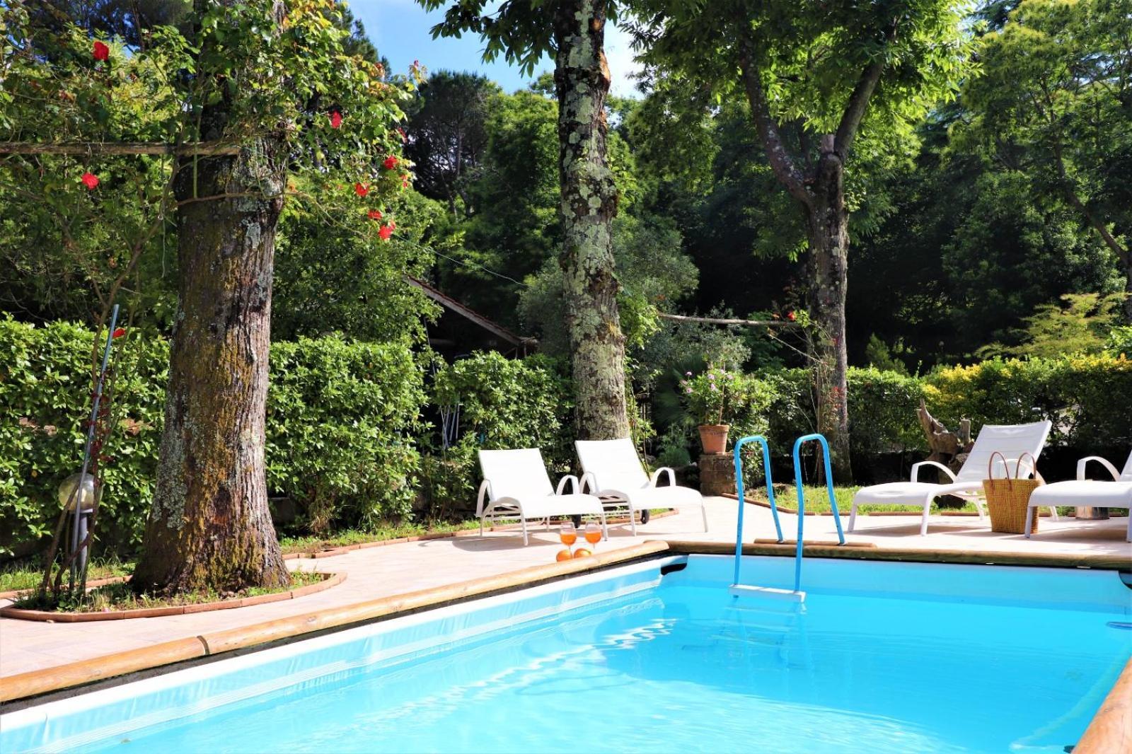 Privata Con Piscina E Biliardo