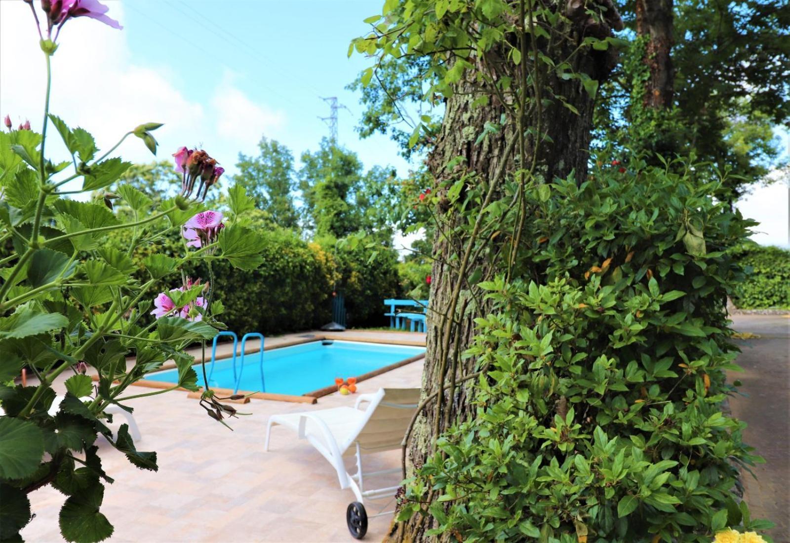Privata Con Piscina E Biliardo *
