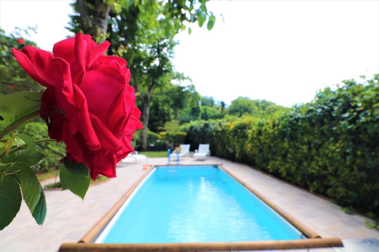 Privata Con Piscina E Biliardo * Sorrento